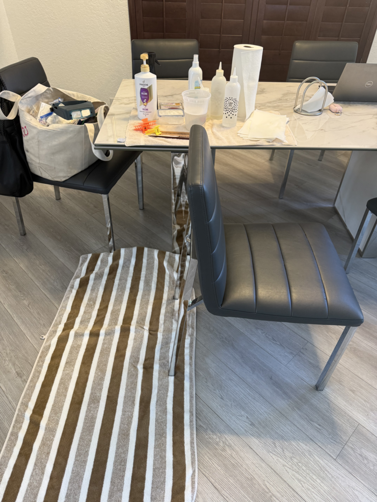 Louse Calls in-home head lice removal appointment setup with chair and equipment